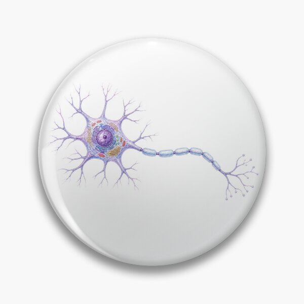 Artikelvorschau, Detaillierte anatomische Darstellung eines Neurons – Wissenschaftliche Aquarellkunst entworfen und verkauft von Chaoscience.