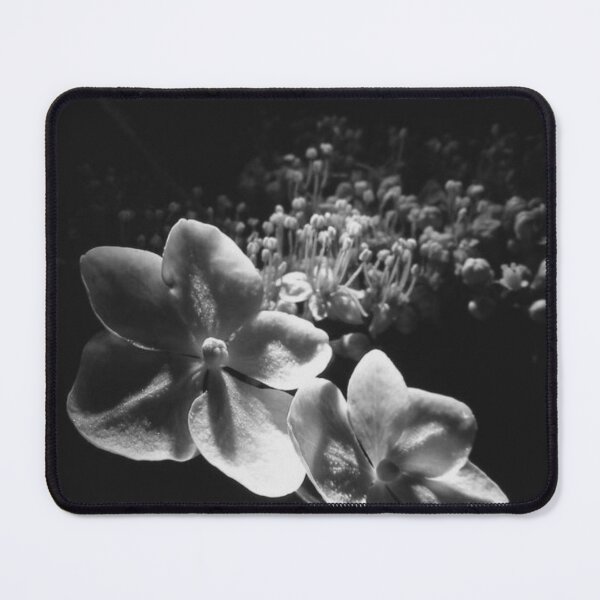 Item preview, Dramatic Black and White Close Up Blossom designed and sold by EssaVernice.