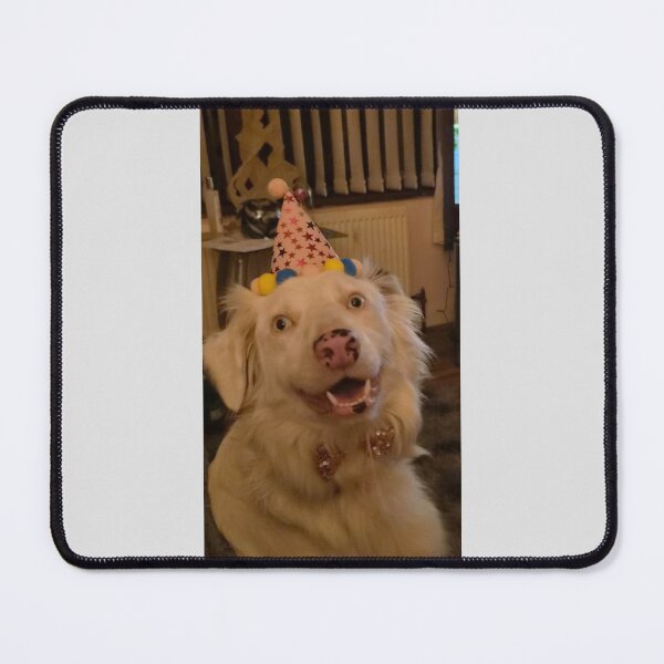 Item preview, Birthday Girl Snowy - Sequins & Party Hat designed and sold by Snowysjourney.