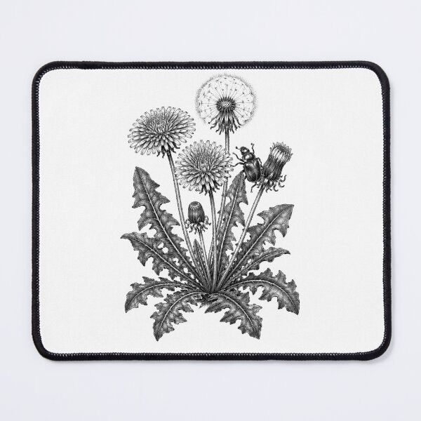 Item preview, Dandelion & Beetle: A Little Wild Magic designed and sold by VinterMoonlight.