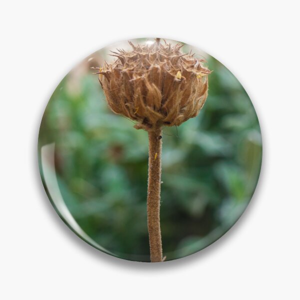 Item preview, Close-Up of a Dry Flower Stem Against a Blurred Green Background designed and sold by Nmallia.