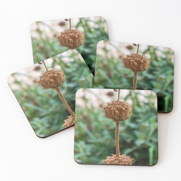 Item preview, Close-Up of a Dry Flower Stem Against a Blurred Green Background designed and sold by Nmallia.