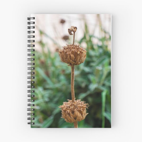 Item preview, Close-Up of a Dry Flower Stem Against a Blurred Green Background designed and sold by Nmallia.