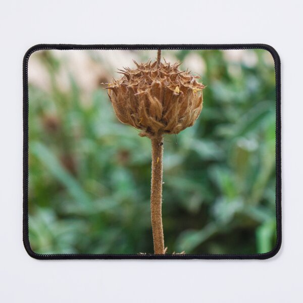 Item preview, Close-Up of a Dry Flower Stem Against a Blurred Green Background designed and sold by Nmallia.