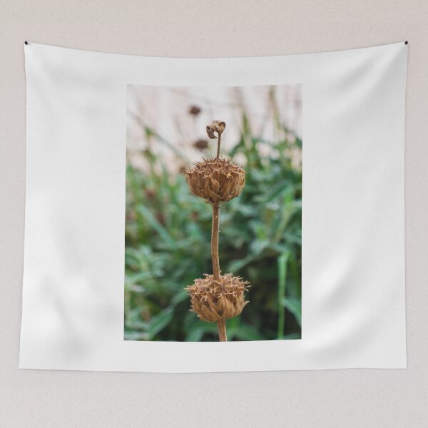 Item preview, Close-Up of a Dry Flower Stem Against a Blurred Green Background designed and sold by Nmallia.