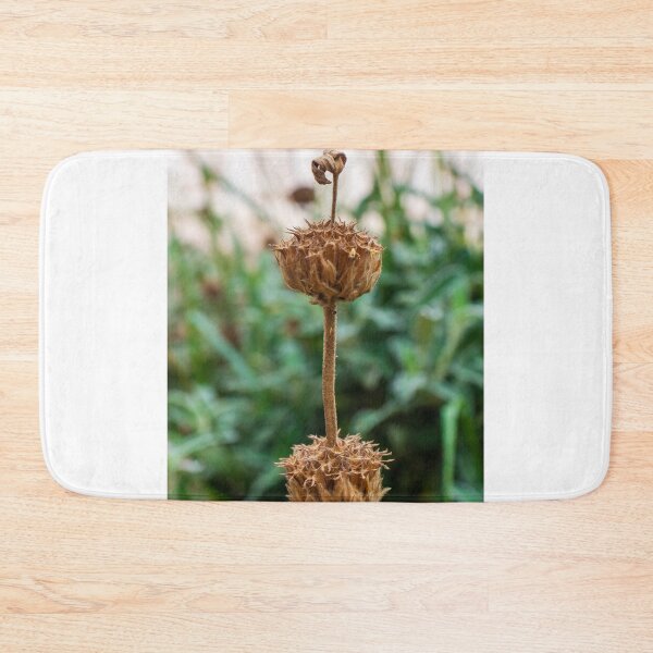 Item preview, Close-Up of a Dry Flower Stem Against a Blurred Green Background designed and sold by Nmallia.