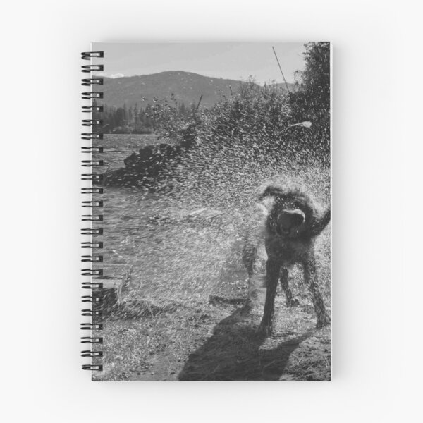 Item preview, Energetic Dog Shaking Off Water Spray by Lakeshore designed and sold by EssaVernice.