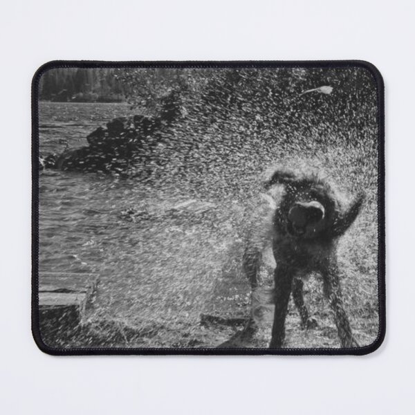 Item preview, Energetic Dog Shaking Off Water Spray by Lakeshore designed and sold by EssaVernice.