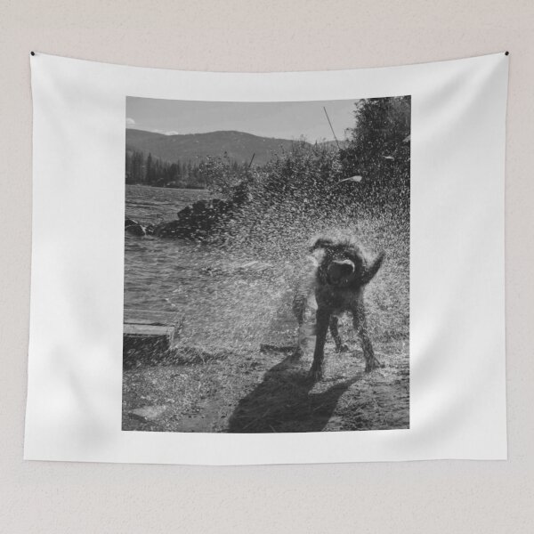 Item preview, Energetic Dog Shaking Off Water Spray by Lakeshore designed and sold by EssaVernice.