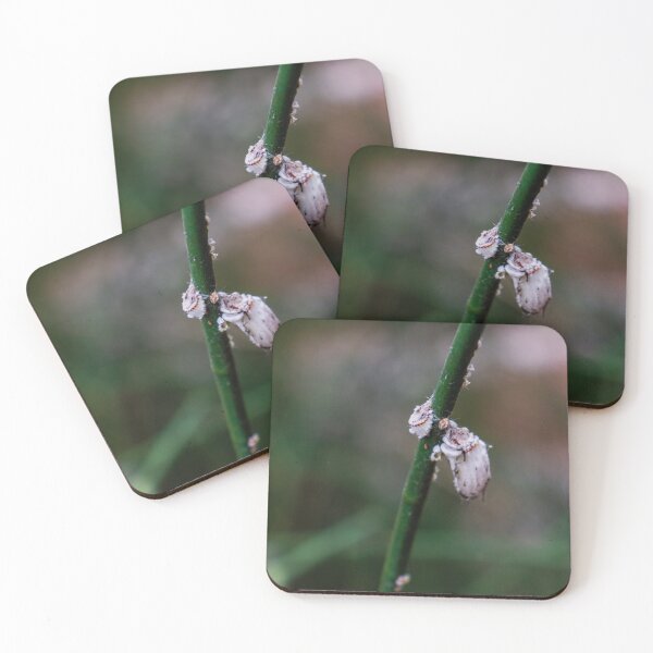Item preview, Close-Up of Insects on a Green Plant Stem in Natural Light designed and sold by Nmallia.