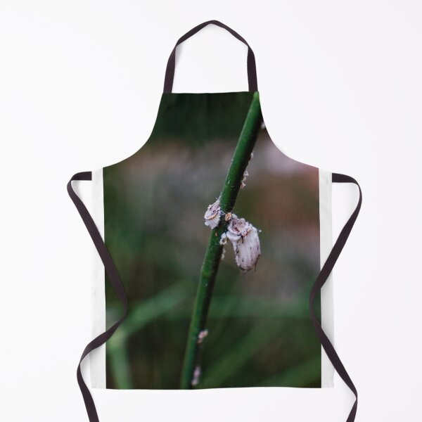 Item preview, Close-Up of Insects on a Green Plant Stem in Natural Light designed and sold by Nmallia.