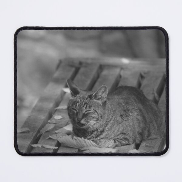 Item preview, Cozy Tabby Cat Napping on Fall Leaf Bench designed and sold by EssaVernice.
