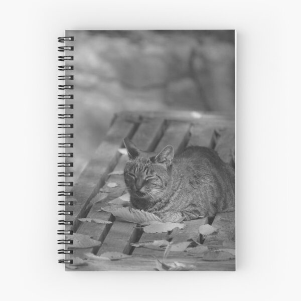 Item preview, Cozy Tabby Cat Napping on Fall Leaf Bench designed and sold by EssaVernice.