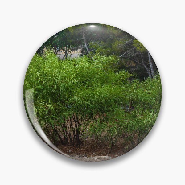 Item preview, Lush Green Shrub Among Trees in a Serene Natural Setting designed and sold by Nmallia.
