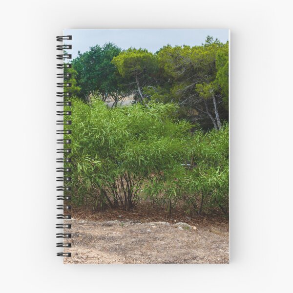 Item preview, Lush Green Shrub Among Trees in a Serene Natural Setting designed and sold by Nmallia.
