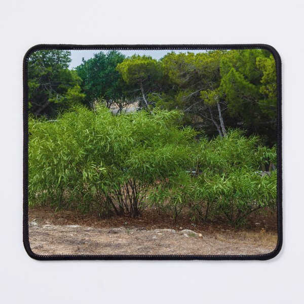 Item preview, Lush Green Shrub Among Trees in a Serene Natural Setting designed and sold by Nmallia.