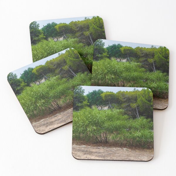 Item preview, Lush Green Shrub Among Trees in a Serene Natural Setting designed and sold by Nmallia.