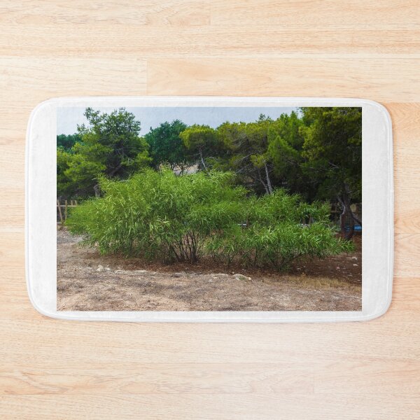 Item preview, Lush Green Shrub Among Trees in a Serene Natural Setting designed and sold by Nmallia.