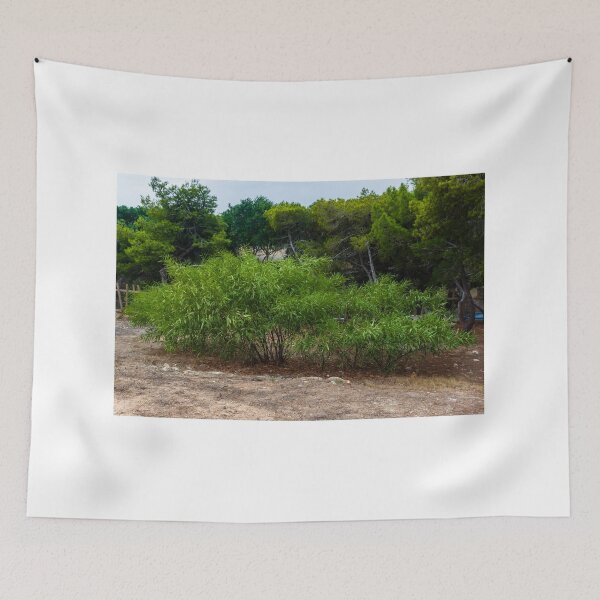 Item preview, Lush Green Shrub Among Trees in a Serene Natural Setting designed and sold by Nmallia.