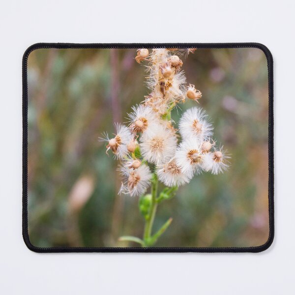 Item preview, Close-Up of White Fluffy Flower Against Blurry Green Background designed and sold by Nmallia.