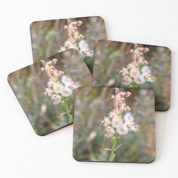 Item preview, Close-Up of White Fluffy Flower Against Blurry Green Background designed and sold by Nmallia.
