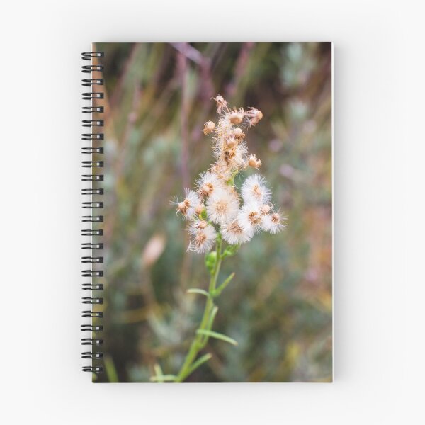 Item preview, Close-Up of White Fluffy Flower Against Blurry Green Background designed and sold by Nmallia.