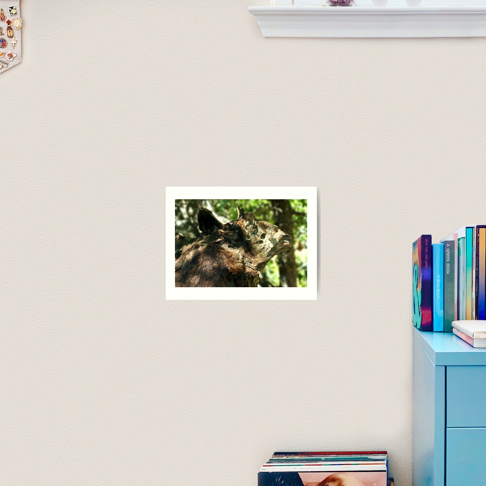 Nature's Art - Idyllwild Art Print