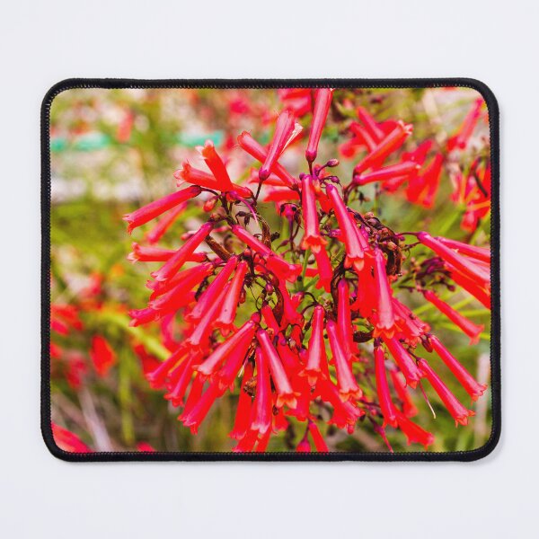 Item preview, Vibrant Red Flower Cluster in a Garden Setting designed and sold by Nmallia.