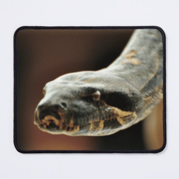 Item preview, Snake Focus Motivational designed and sold by Inzarportrait.