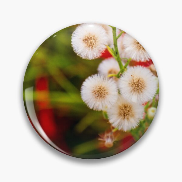 Item preview, Close-Up of Dandelion-Like Plant Against Colorful Blurred Background designed and sold by Nmallia.