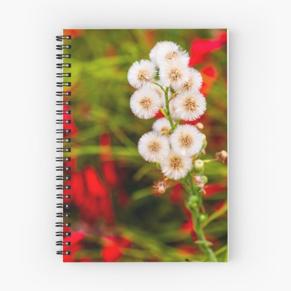 Item preview, Close-Up of Dandelion-Like Plant Against Colorful Blurred Background designed and sold by Nmallia.