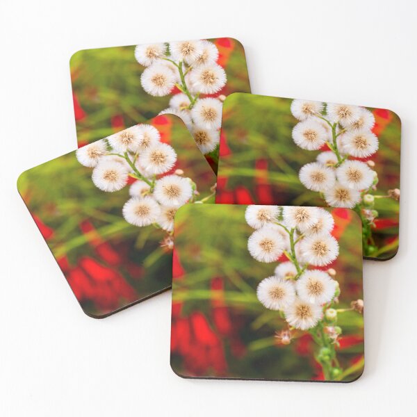 Item preview, Close-Up of Dandelion-Like Plant Against Colorful Blurred Background designed and sold by Nmallia.