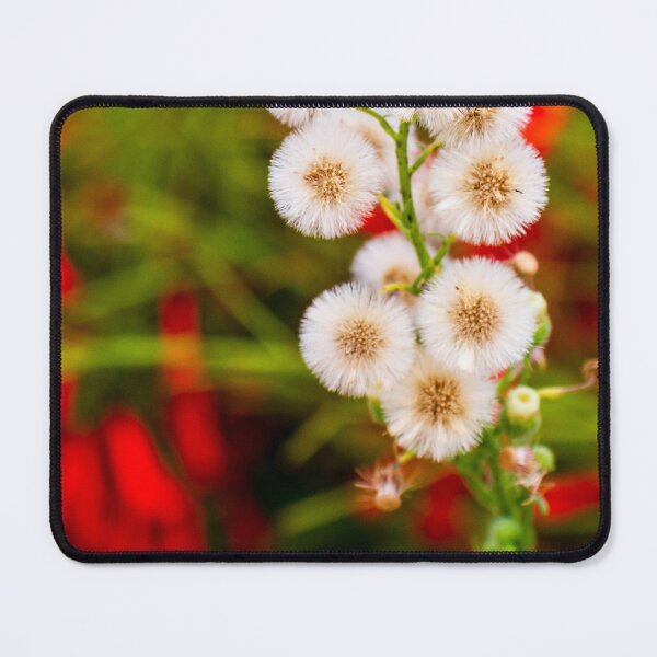 Item preview, Close-Up of Dandelion-Like Plant Against Colorful Blurred Background designed and sold by Nmallia.
