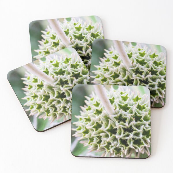 Item preview, Close-Up of a Unique Prickly Green Seed Pod on a Plant designed and sold by Nmallia.