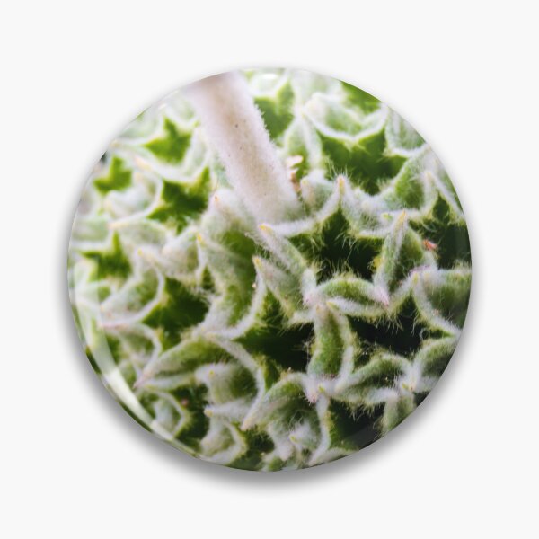 Item preview, Close-Up of a Unique Prickly Green Seed Pod on a Plant designed and sold by Nmallia.