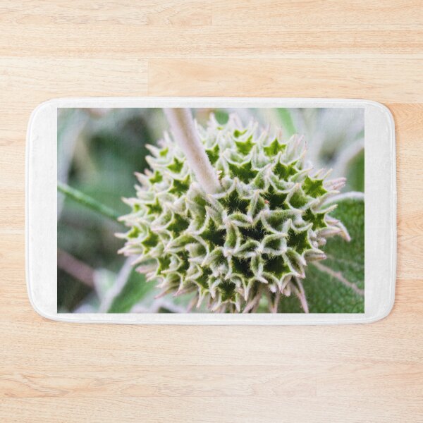Item preview, Close-Up of a Unique Prickly Green Seed Pod on a Plant designed and sold by Nmallia.