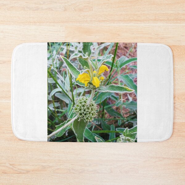 Item preview, Close-Up of Wildflower With Yellow Blooms and Spiky Green Foliage in Nature designed and sold by Nmallia.