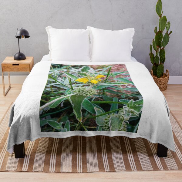 Item preview, Close-Up of Wildflower With Yellow Blooms and Spiky Green Foliage in Nature designed and sold by Nmallia.