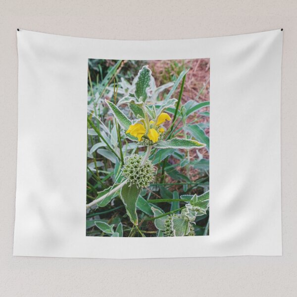 Item preview, Close-Up of Wildflower With Yellow Blooms and Spiky Green Foliage in Nature designed and sold by Nmallia.