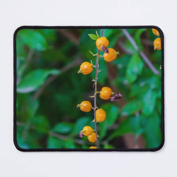 Item preview, Vibrant Yellow Berries Hanging Among Greenery in a Natural Setting designed and sold by Nmallia.