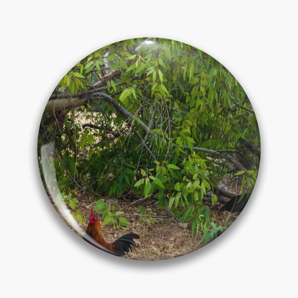 Item preview, Free Range Chickens and Roosters in a Lush Green Natural Setting designed and sold by Nmallia.