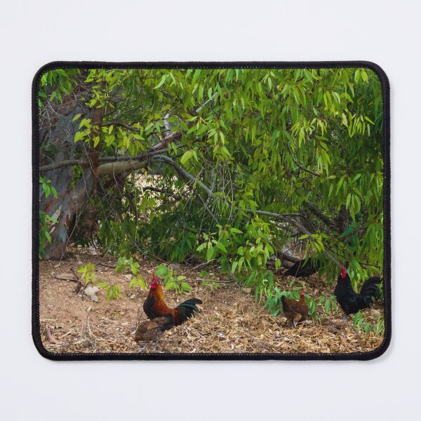 Item preview, Free Range Chickens and Roosters in a Lush Green Natural Setting designed and sold by Nmallia.