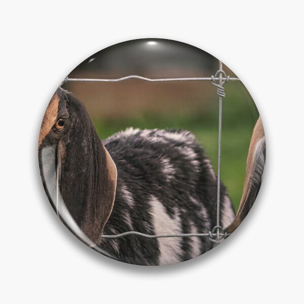 Item preview, 2 Goats Behind A Fence designed and sold by Jim Love.