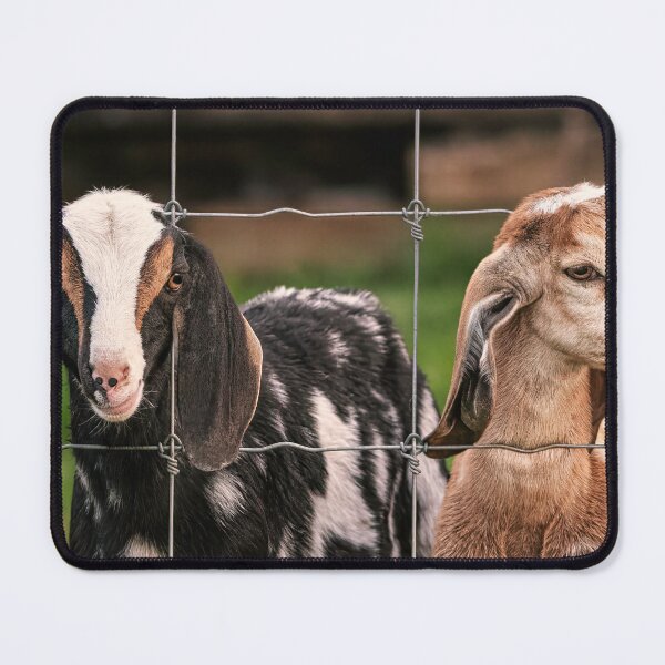 Item preview, 2 Goats Behind A Fence designed and sold by Jim Love.