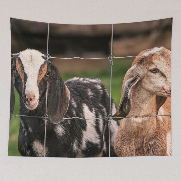 Item preview, 2 Goats Behind A Fence designed and sold by Jim Love.