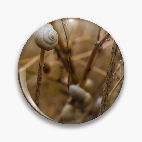Item preview, Close-Up of Snails on Dry Plant Stems in a Natural Habitat designed and sold by Nmallia.