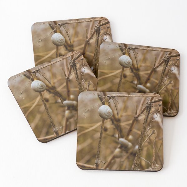 Item preview, Close-Up of Snails on Dry Plant Stems in a Natural Habitat designed and sold by Nmallia.