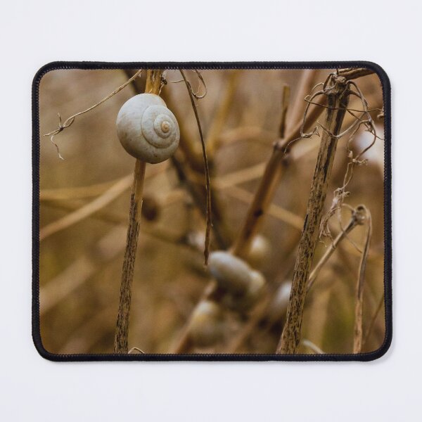 Item preview, Close-Up of Snails on Dry Plant Stems in a Natural Habitat designed and sold by Nmallia.