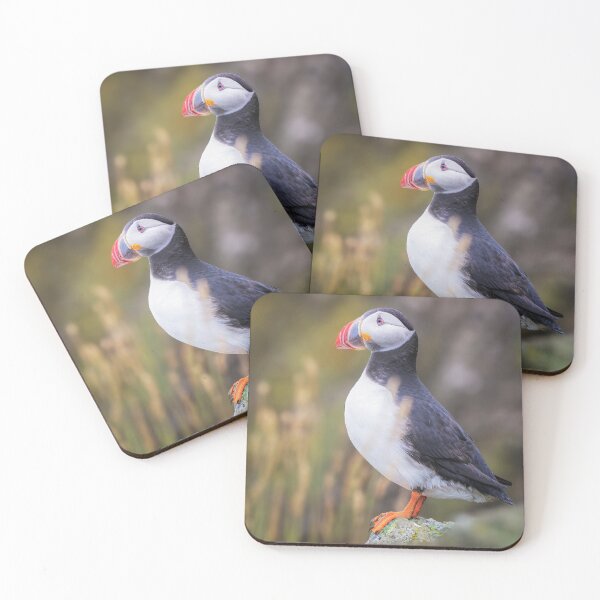 Item preview, Atlantic Puffin on a Rock designed and sold by PhotoArt by Joan Carroll.