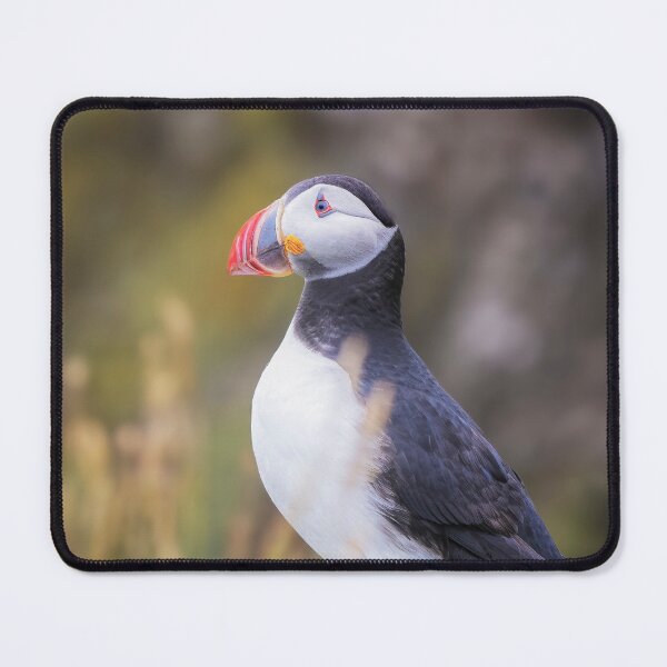 Item preview, Atlantic Puffin on a Rock designed and sold by PhotoArt by Joan Carroll.